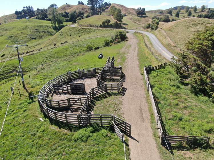 Paekaka Road Piopio_7