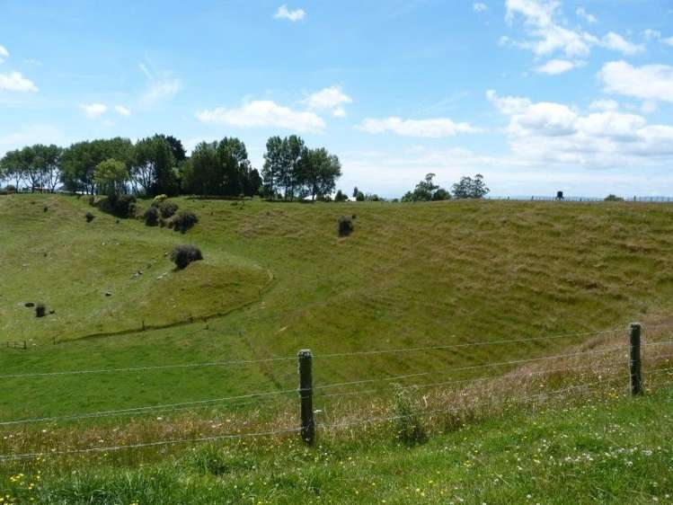 389d Paraonui Road Putaruru_8