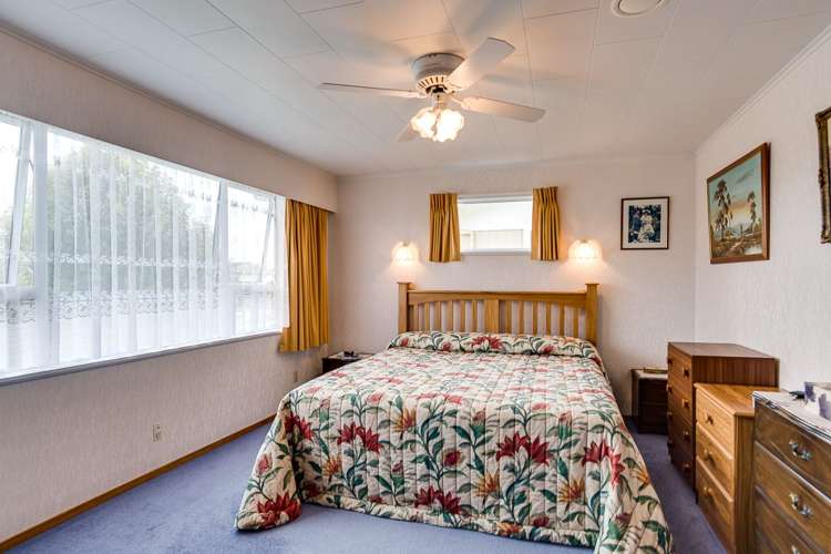 31 Plunket Street Tamatea_5