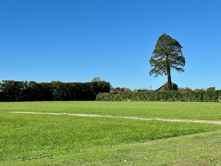 Lots 2, 3 & 4 Toru Street Makaraka_16