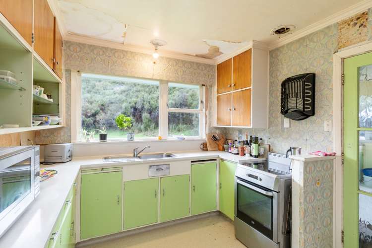 100 Hair Street Wainuiomata_5