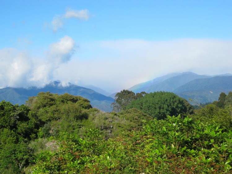 25 Bay Vista Drive Kahurangi National Park_17