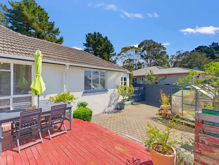 154 Mcgregors Road Linwood_21