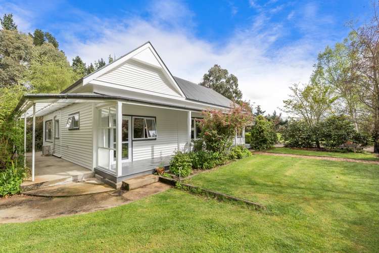 1166 Scargill Valley Road Scargill_10