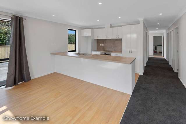 83a Winchester Street Levin_4