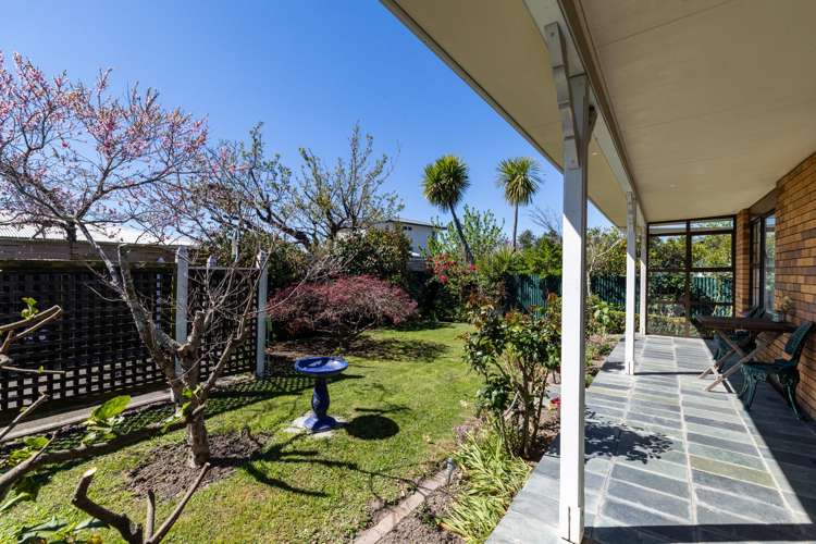 3/33 Avondale Road Taradale_3