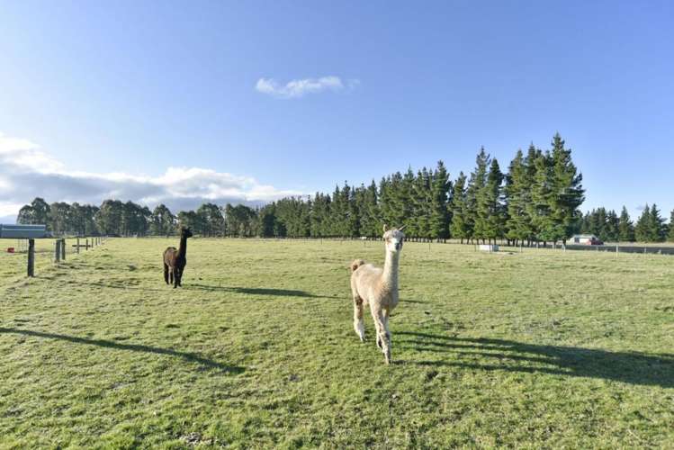 194 Fishers Road Loburn_19