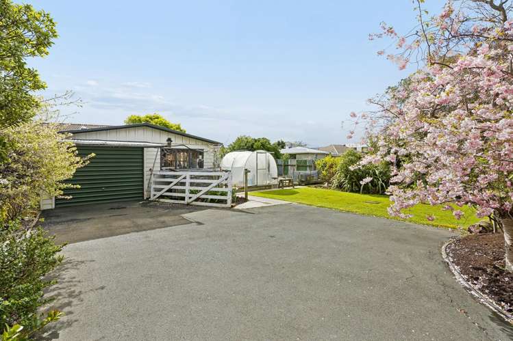 58 Hargest Cres St Kilda_18