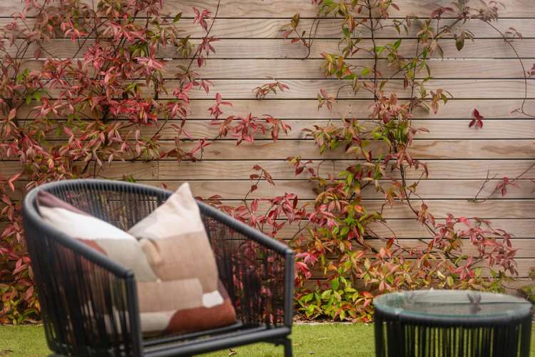22A Graham Avenue Te Atatu Peninsula_6