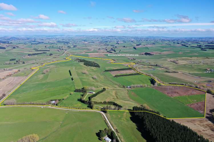 526 Turnbull Road Gore Surrounds_0