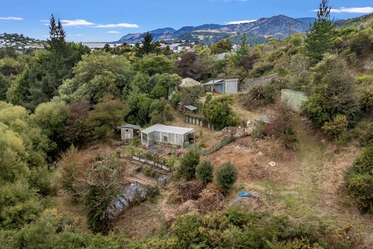 10 Ariesdale Terrace Toi Toi_22