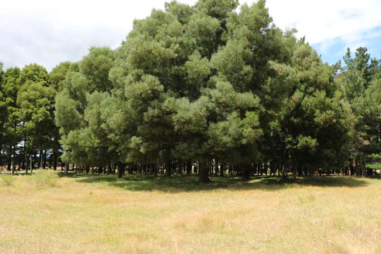 266 Wall Road Foxton_6