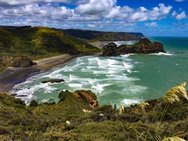 276 Bethells Road Bethells Beach_36