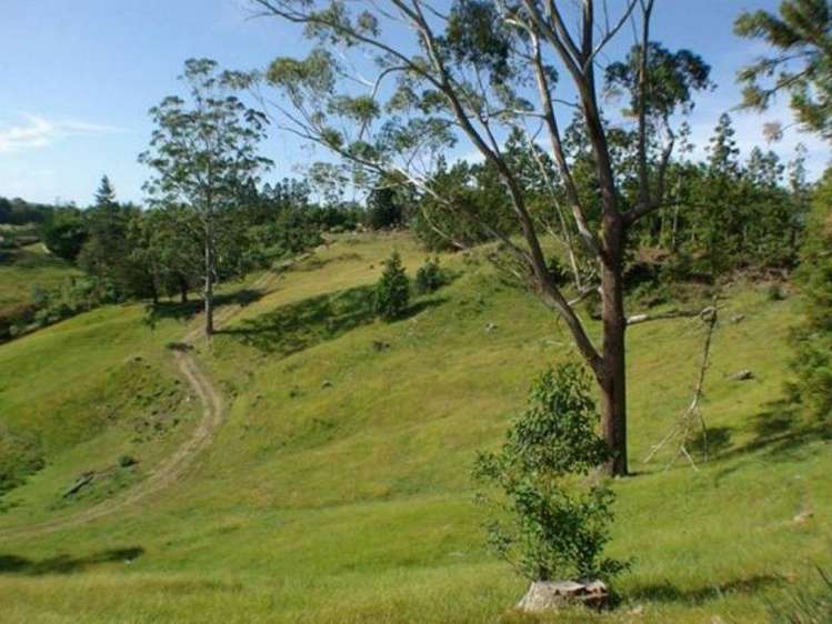 67 Wiroa Road Kerikeri_7