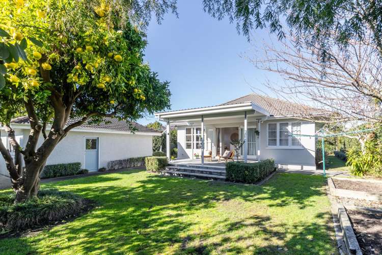 202 Park Road North Parkvale_15