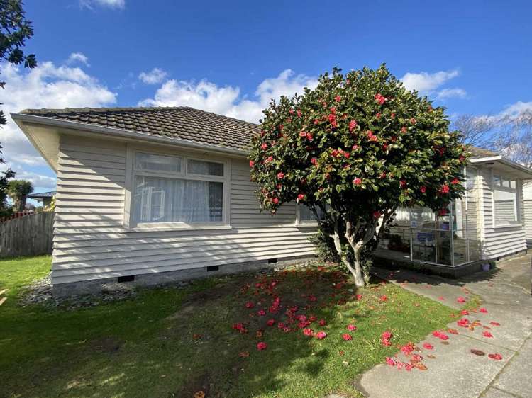 61 Elizabeth Street Riccarton_18