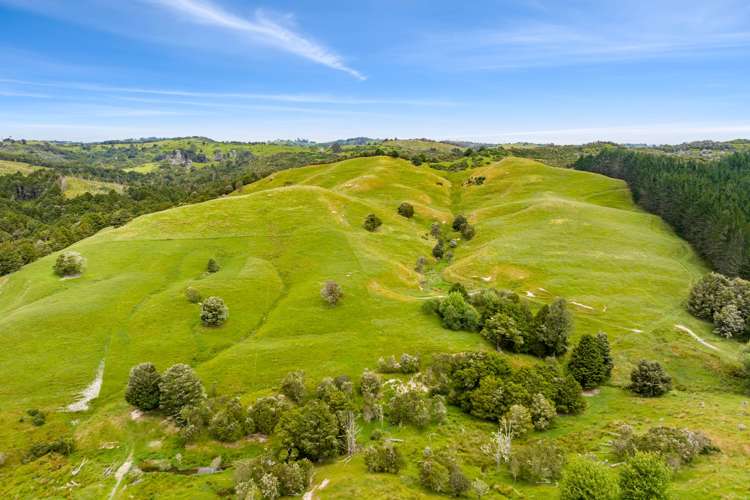 1228a Bull Road Paparoa_2