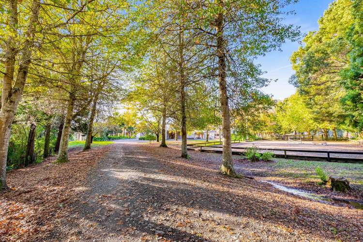 49 Sunnyside Road Coatesville_21