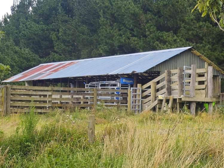 248 Lichenstein Road Okere Falls_13