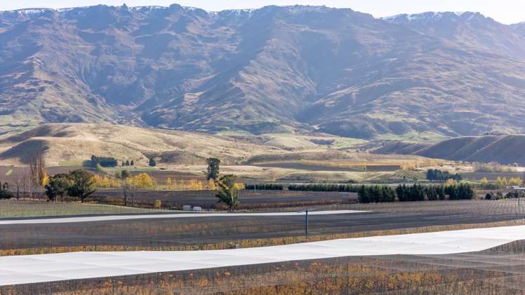 Smiths Way Cromwell_14