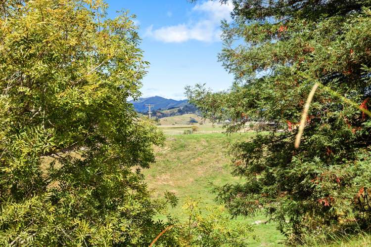 Looney Road Opotiki and Surrounds_6