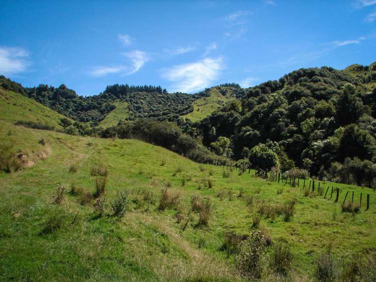 82 Carter Road Taumarunui_13