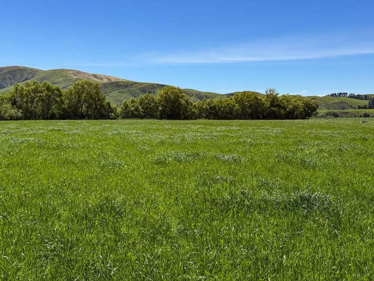 840 Ardlussa Cattleflat Road Cattle Flat_17