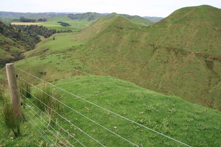 1756 Rawhitiroa Road Eltham_9