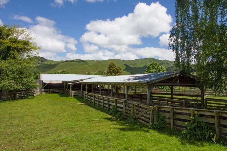 4064 State Highway 4 Kakatahi_14