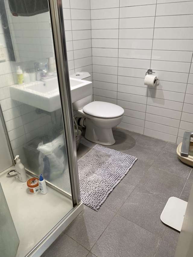 88b Great South Road Epsom_4