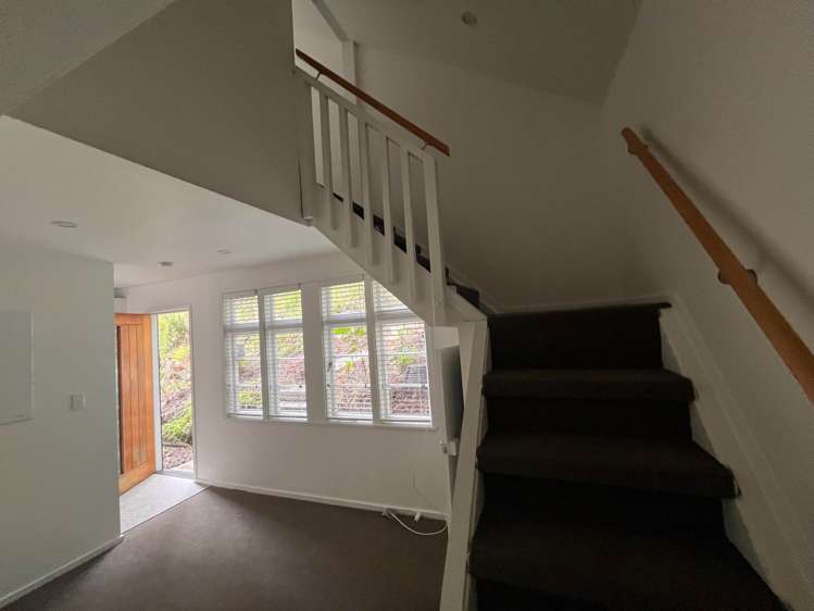 Whatipu Road Huia_26