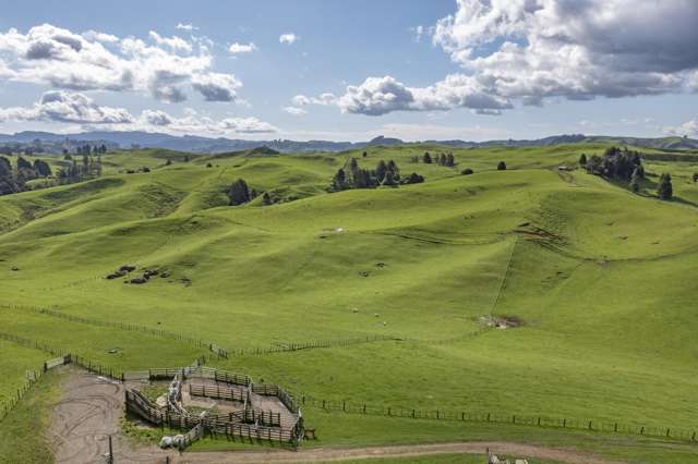 574 Mangaotaki Road Piopio_4