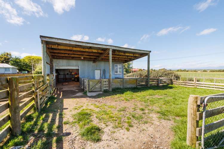 465 Makino Road Feilding_17