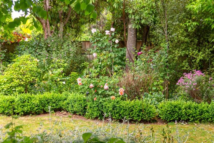 100 Colombo Road Masterton_29