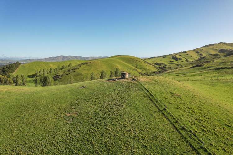 102 Scargill Valley Road Greta Valley_7