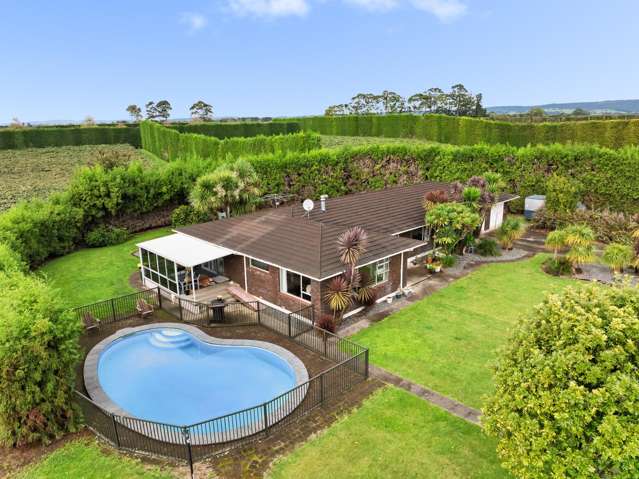 Unique kiwifruit investment opportunity
