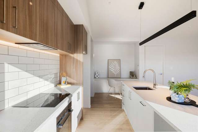 25 Lumino Terrace Peacocke_3