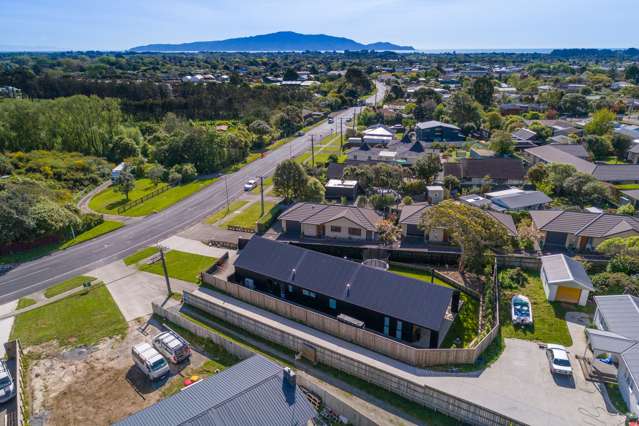 51a Elizabeth Street Waikanae_1