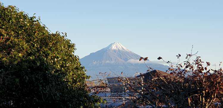 26 Maire Street Hawera_0