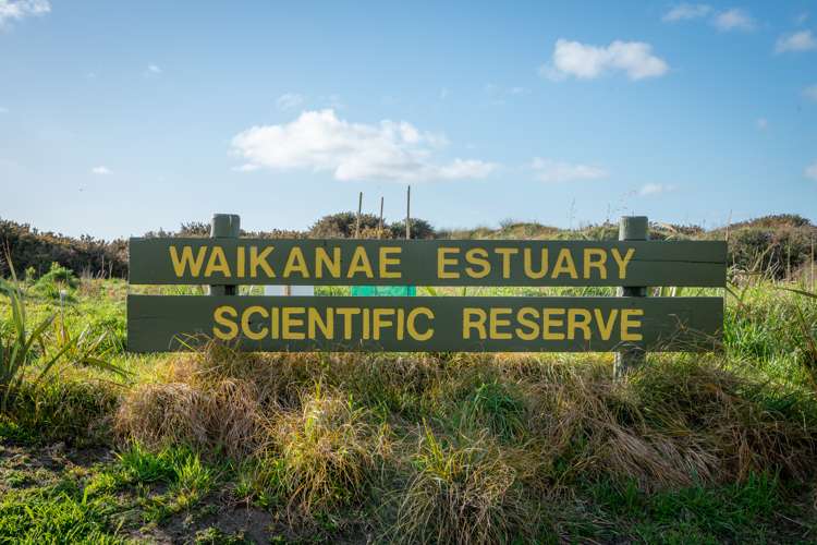 18 Takahe Drive Paraparaumu Beach_42