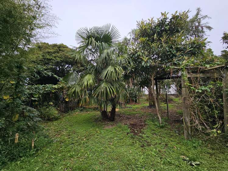 7 Dover Street Levin_16