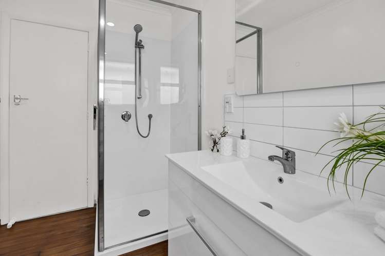 3a Waimea Street Westown_30