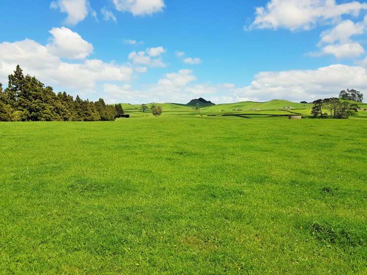 126 Trig Road Waihi_5