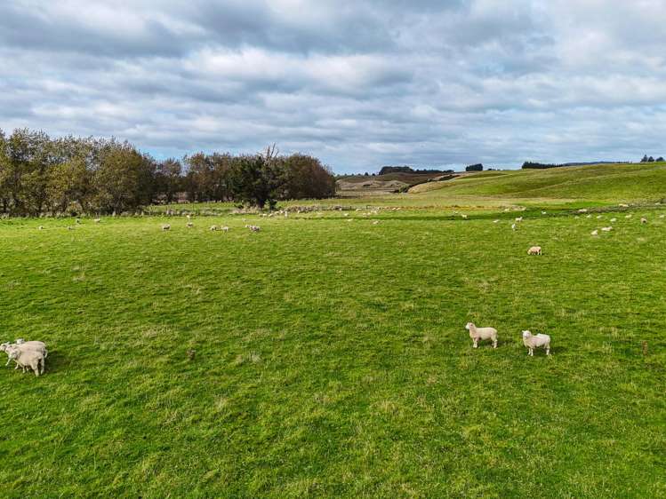301 Waimahaka Fortification Road Wyndham Surrounds_13