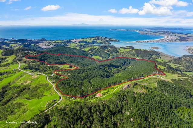 170 Ashton Road Whangateau_1
