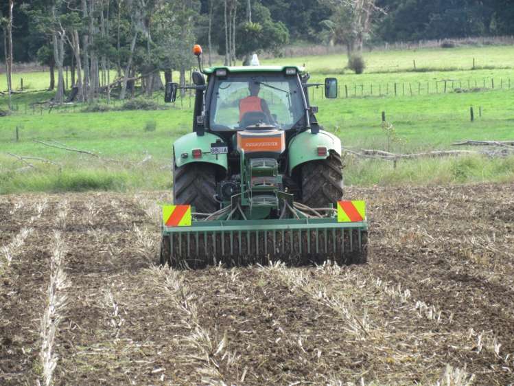 353 Wilson Road Pakotai_5