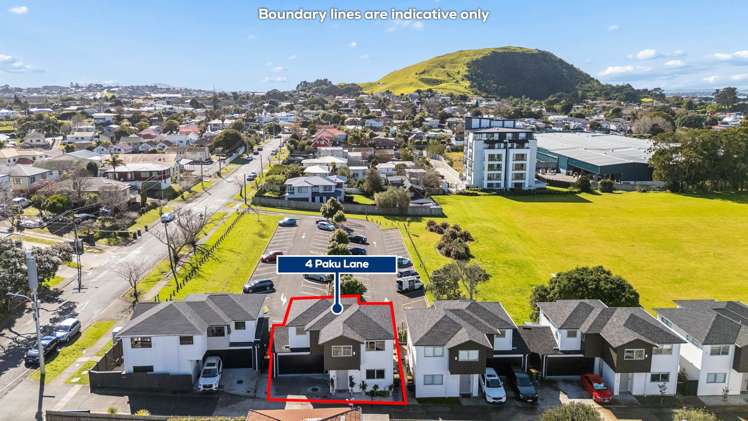 4 Paku Lane Mt Wellington_18
