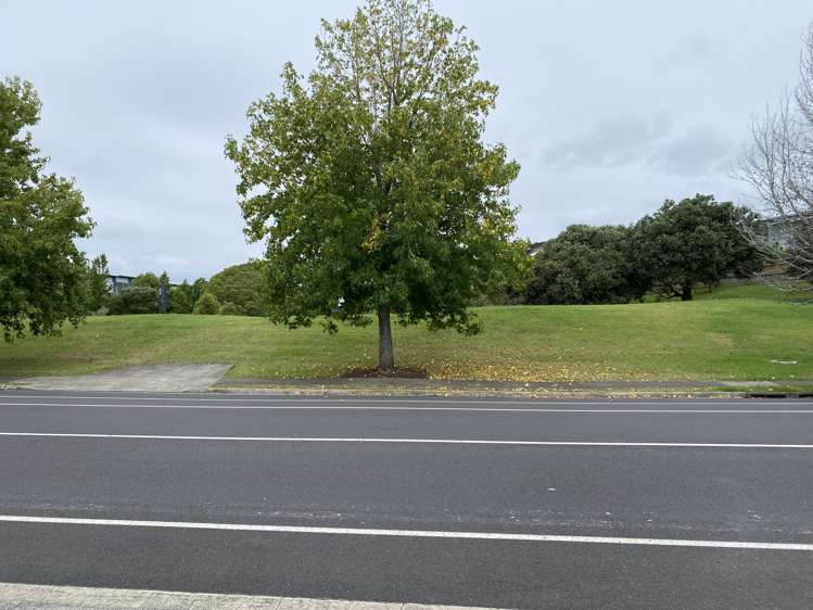 389 Rosedale Road Albany_12