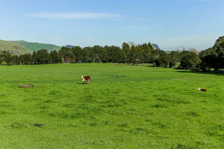 59 Block Road Hikutaia_18