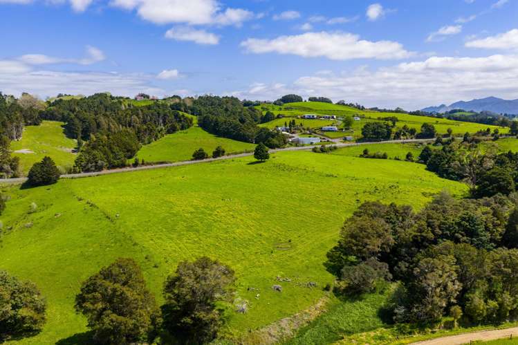 Mangakahia Road Titoki_33